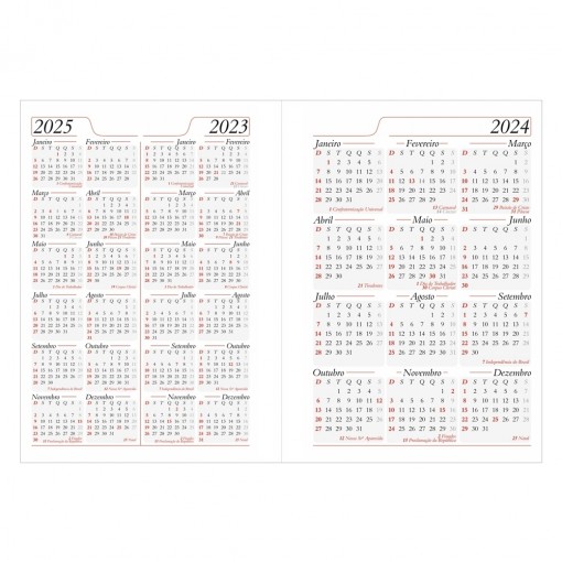 Agenda Diária 2024 Personalizada