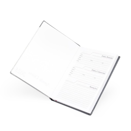 Agenda Diária 2025 Personalizada Diária