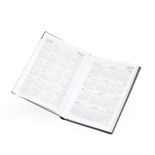 Agenda Diária 2025 Personalizada Diária