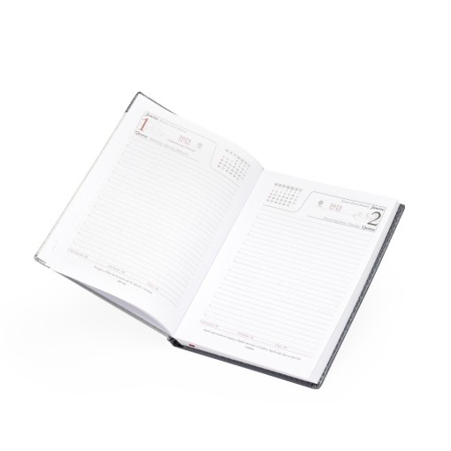 Agenda Diária 2025 Personalizada Diária