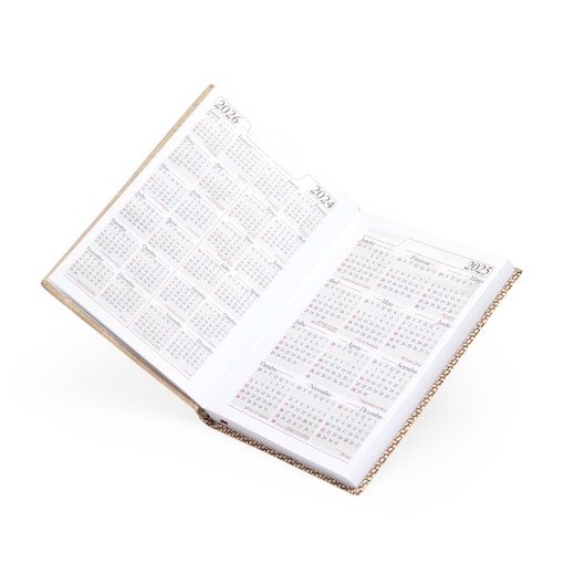 Agenda Modelo Diária 2026 Personalizada