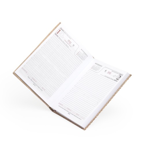 Agenda Modelo Diária 2026 Personalizada