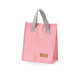 Bolsa térmica 6l com logotipo